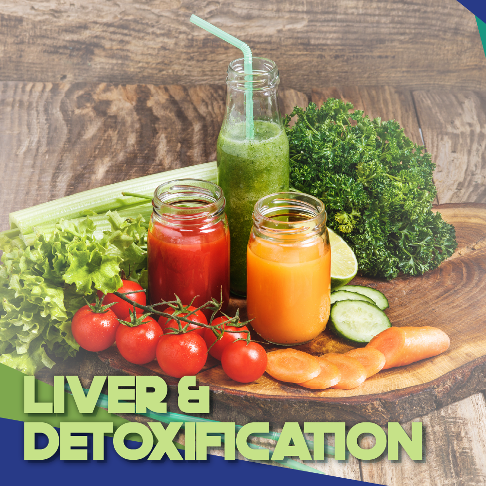 Liver & Detoxification